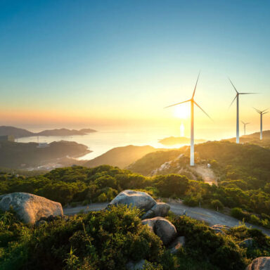 Supply of Food items for returnees